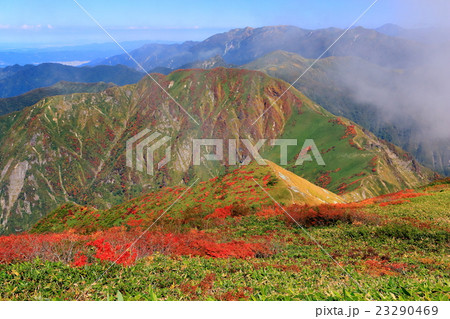 上越国境・武能岳への稜線と巻機山遠望 上越国境・武能岳への稜線と巻機山遠望 23290469