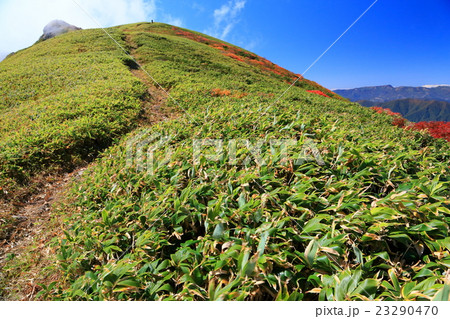 上越国境・茂倉岳の登山道と苗場山遠望 23290470