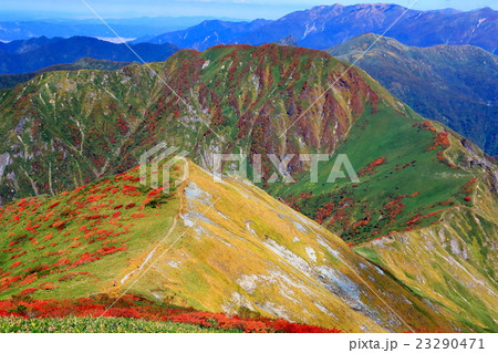 紅葉の谷川連峰・武能岳と巻機山 23290471