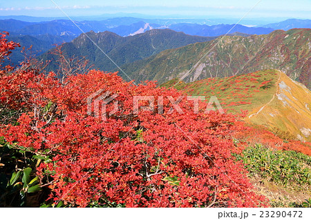 上越国境 茂倉岳稜線の紅葉と越後湯沢方面の眺望の写真素材