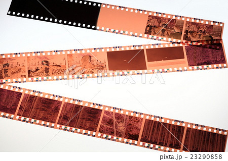 ネガフィルム 23290858