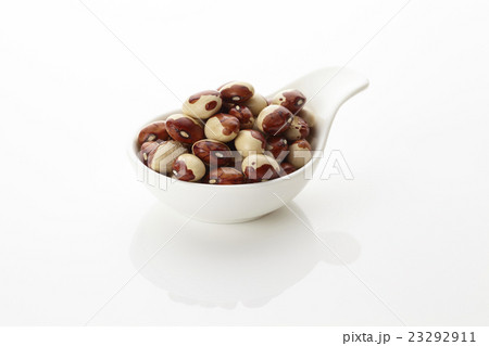 とら豆 とら豆 23292911