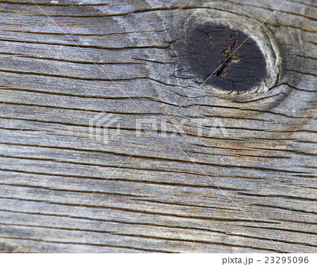 Isolated photo of beautiful pattern of old wood 23295096