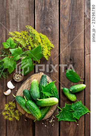 pickling cucumbers pickling cucumbers 23296780