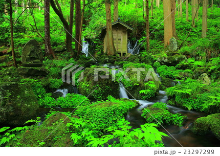 山形県遊佐町 胴腹滝の写真素材