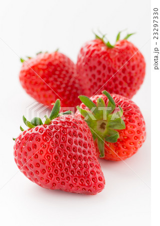 ミクベリー 23297330