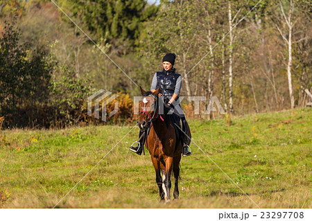 Elegant attractive woman riding a horse meadow Elegant attractive woman riding a horse meadow 23297708