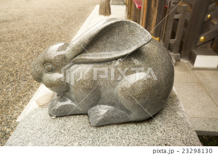 撫でウサギ 23298130