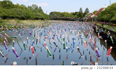 鯉のぼり 23298634