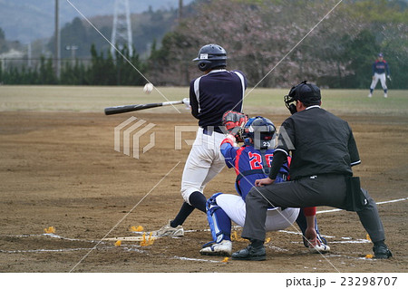 ナイスバッティング 23298707