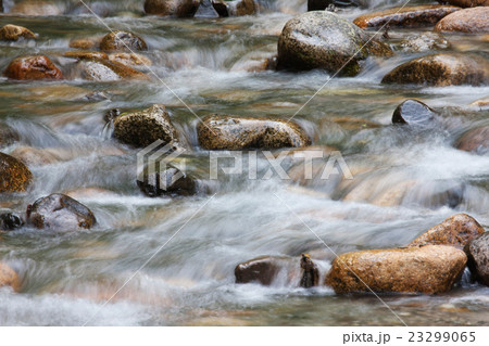 烏川渓谷緑地 烏川渓谷緑地 23299065