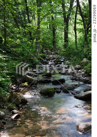 烏川渓谷緑地 烏川渓谷緑地 23299069