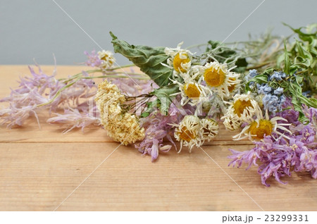 ドライフラワー ドライフラワー 23299331