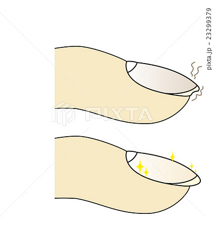 爪 イラスト 比較のイラスト素材