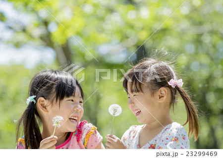 新緑の公園でタンポポを持つ姉妹 23299469