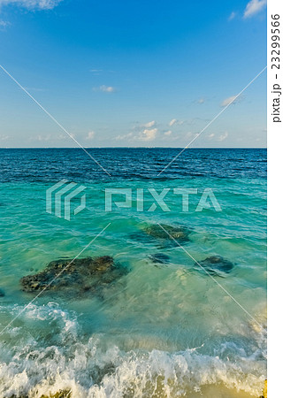 カンクン北側の夕方のビーチ（タテ） 23299566