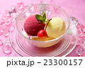 デザート 23300157