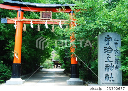 世界遺産宇治上神社の鳥居 23300677