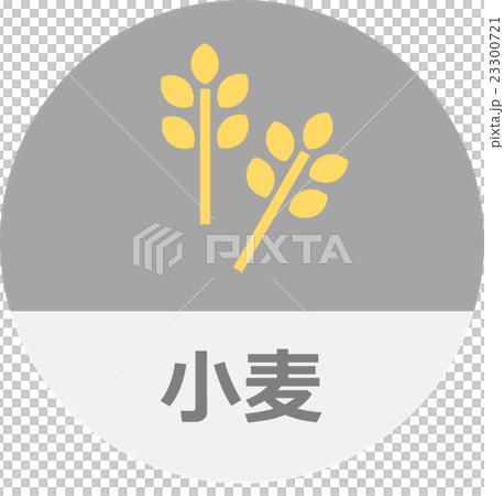 小麥圖標 小麥圖標 23300721