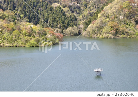春の城山湖 春の城山湖 23302046
