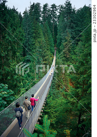 Capilano Suspension Bridge 23302964