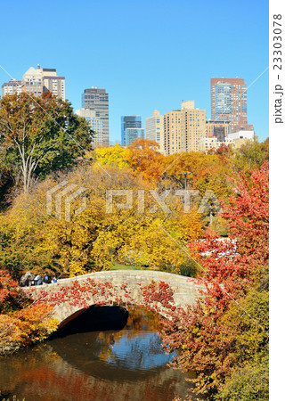 Central Park Autumn Central Park Autumn 23303078