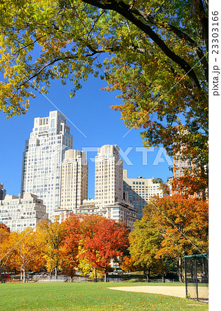 Central Park Autumn Central Park Autumn 23303166