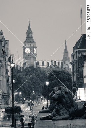 Street view of Trafalgar Square Street view of Trafalgar Square 23303673