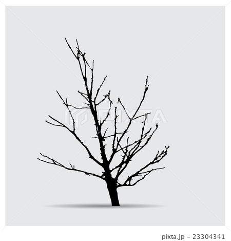 Vector tree silhouettes 23304341