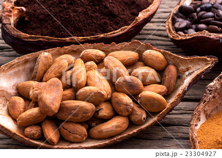 cacao seeds from pot is ready to be made cacao pow 23304927