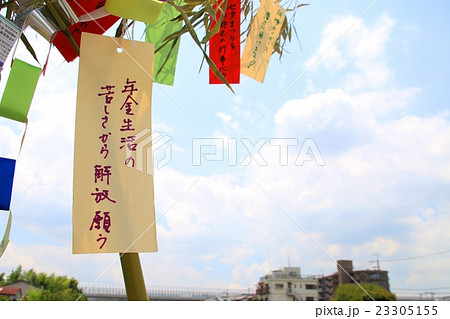 願いを込めた七夕 23305155