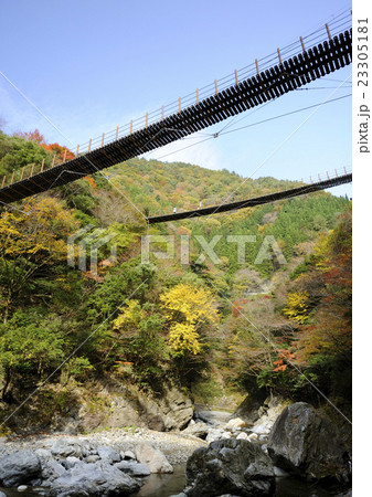 樅木吊橋 23305181