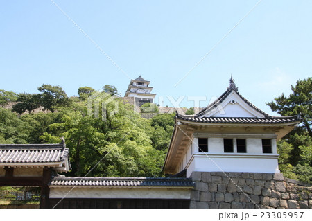 丸亀城 23305957