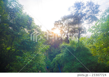 Sunny morning in mountain with fog. Sunny morning in mountain with fog. 23307724