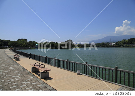 門池（沼津市） 23308035
