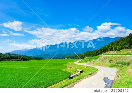 初夏の農村風景 (38) 23308542