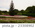 秋の公園 23308902