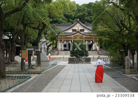 神戸の地元から楠公さんと親しまれる神社:湊川神社 神戸の地元から楠公さんと親しまれる神社:湊川神社 23309538