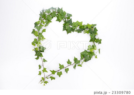ツタのハートフレーム 23309780