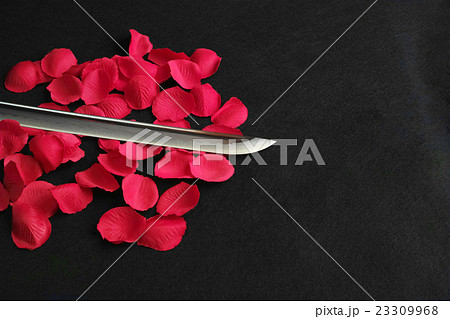 バラの赤い花びらと日本刀の刀身 23309968