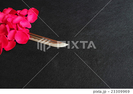 バラの赤い花びらと日本刀の刀身 23309969
