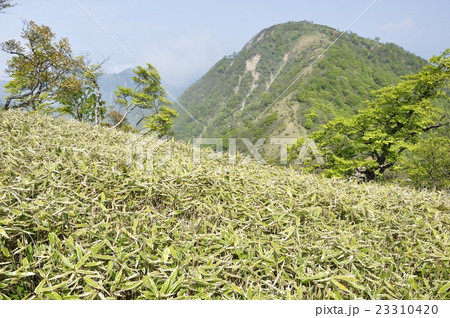 鬼ヶ岩ノ頭より蛭ヶ岳 鬼ヶ岩ノ頭より蛭ヶ岳 23310420