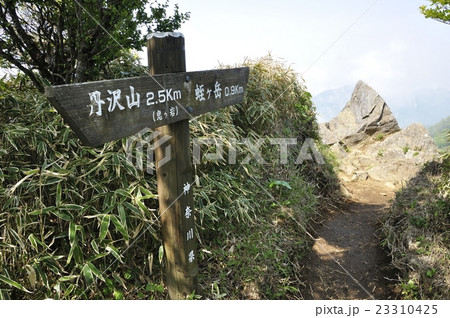 丹沢山地 鬼ヶ岩 丹沢山地 鬼ヶ岩 23310425