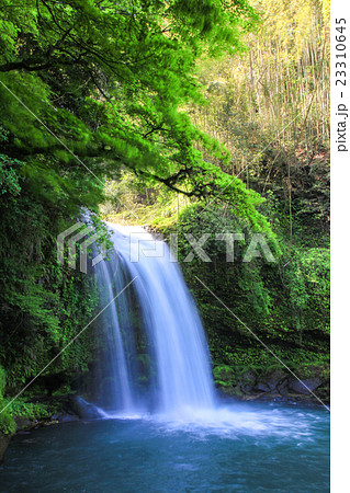 新緑の慈恩の滝 23310645