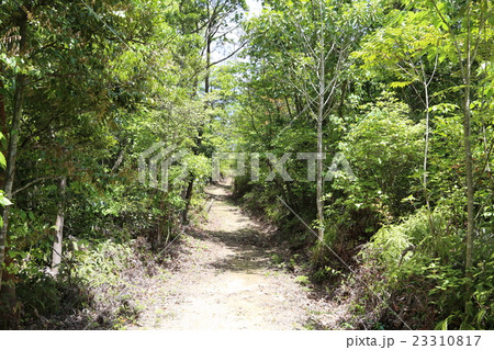 旧山陽道 23310817