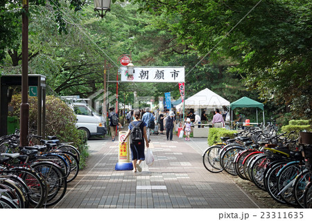 第28回くにたち朝顔市 23311635