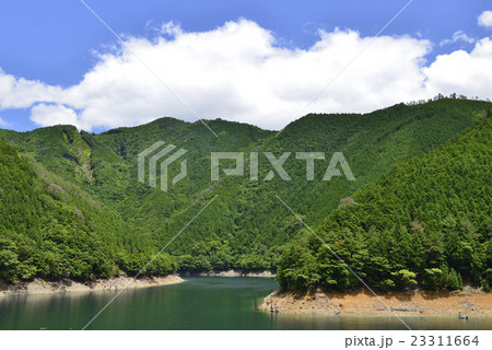 初夏の池原貯水池／奈良県　下北山村 23311664