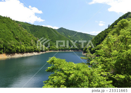 初夏の池原貯水池/奈良県 下北山村 初夏の池原貯水池/奈良県 下北山村 23311665