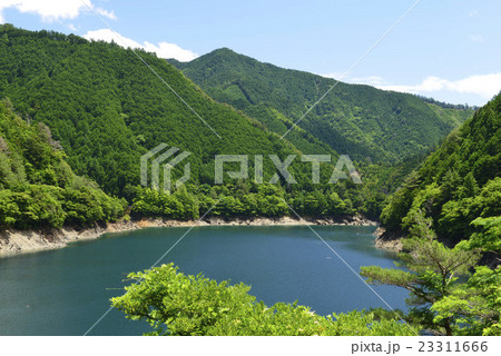 初夏の池原貯水池／奈良県　下北山村 23311666