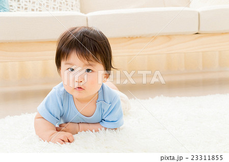 赤ちゃん　ベイビー　ベビー　乳幼児　白背景　コピースペース　男の子 23311855
